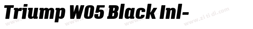 Triump W05 Black Inl字体转换